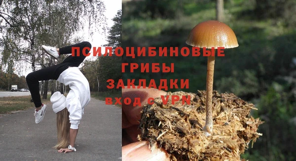 стафф Вязьма