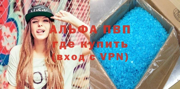 молекула духа Вяземский