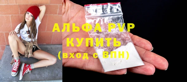 молекула духа Вяземский