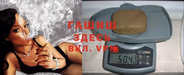 молекула духа Вяземский