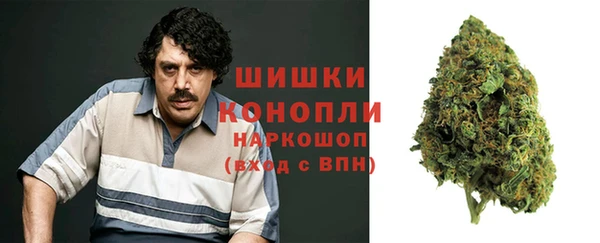 стафф Вязьма