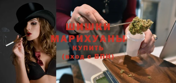 молекула духа Вяземский