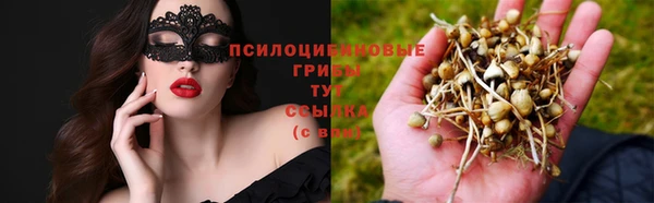 скорость mdpv Гусев
