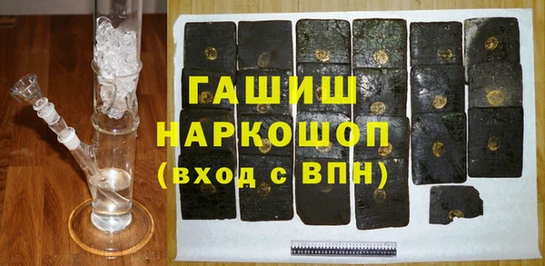 молекула духа Вяземский