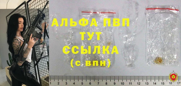молекула духа Вяземский