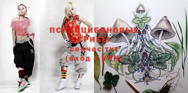стафф Вязьма