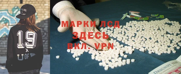 молекула духа Вяземский