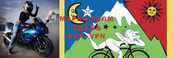 молекула духа Вяземский