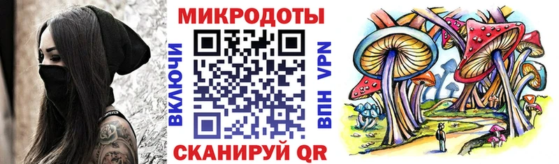 где купить наркоту  Псков  Псилоцибиновые грибы GOLDEN TEACHER 
